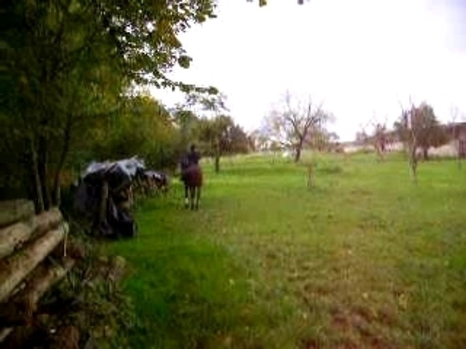 Photo 050