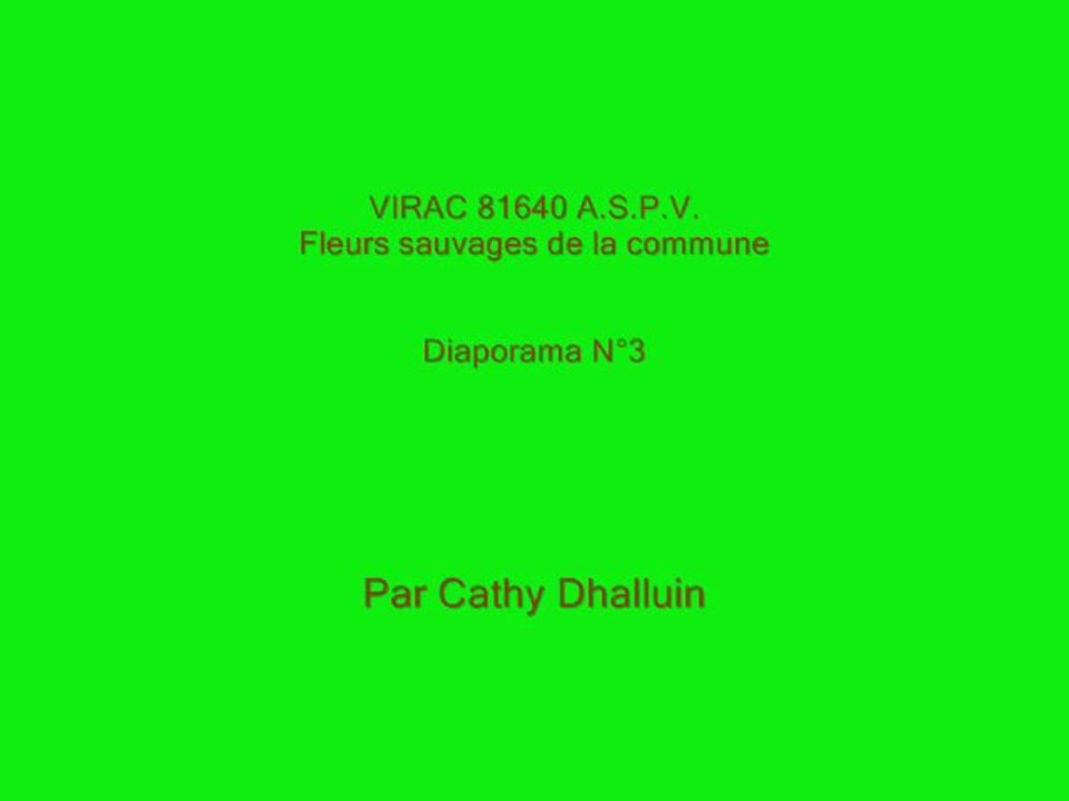 Virac 81640 A.S.P.V. fleurs sauvages diaporama n° 3/2013