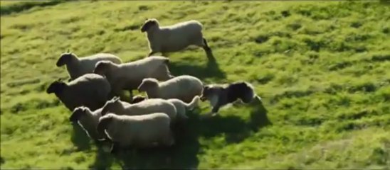 Magic Magic - Extrait 1