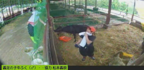 20130616　くろゆ～ちゃ