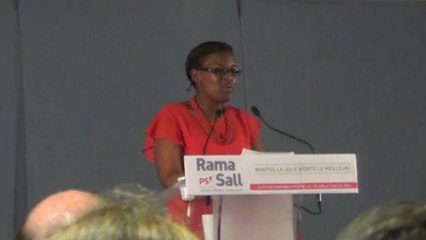 Réunion publique avec Rama Sall et Benoît Hamon