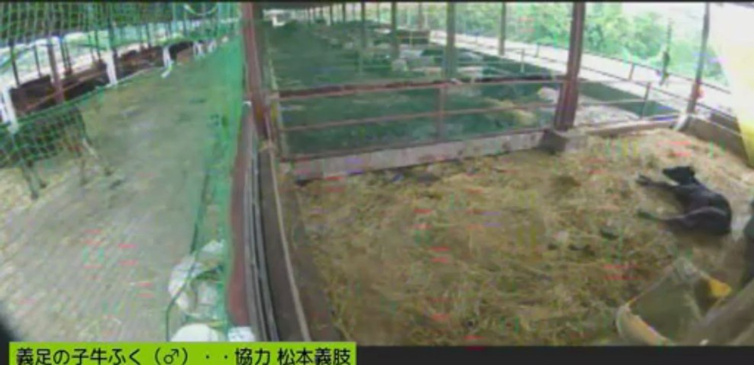 20130618  岡田さん、しず姉さん、銀、ナナちゃん②