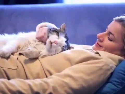 Dog Nail Clippers How To Trim Your Pet's Toenails with Cutie Pets' Nail Clippers