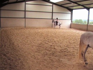 16 juin 2013 apprentissage du pas espagnol en arrière