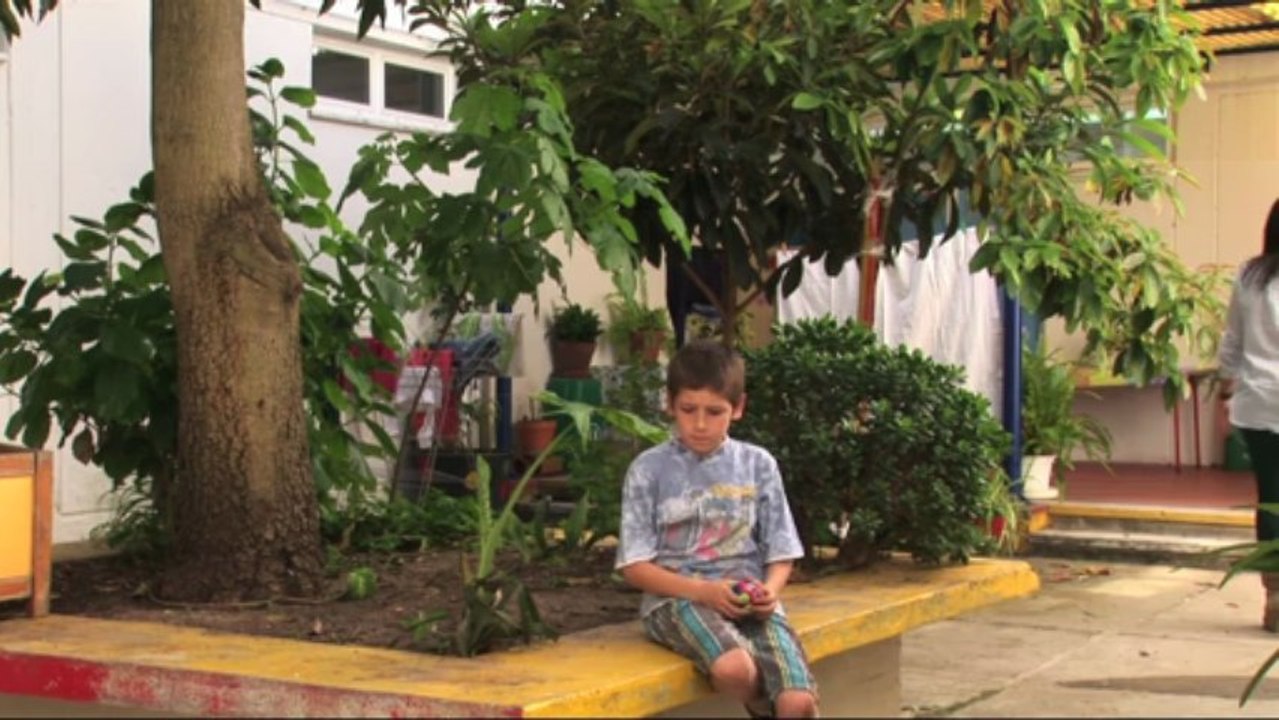 VALE AMOREIRA_Amizade Intensa_stfr