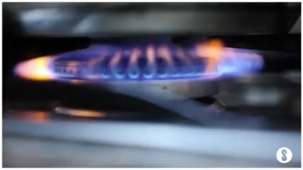 14 MEJILLONES PICANTONES