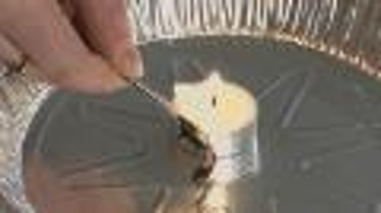 Burn Testing for Fabric Identification