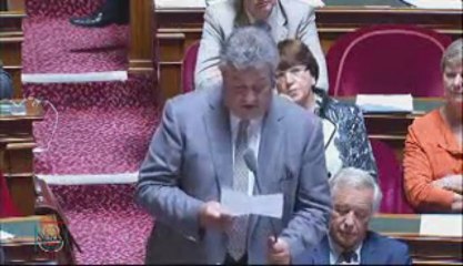 QAG de Jean-Louis Carrère sur le Mali 20 juin 2013