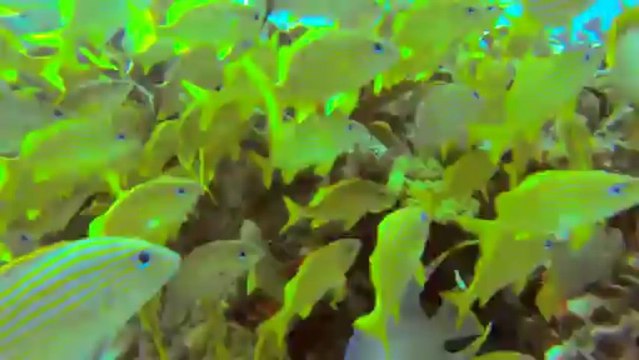 Man documents epic trip to Mexico