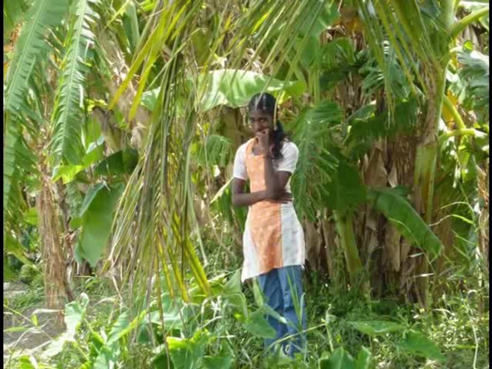 Tami Nadu-Kerala : Relation d'un voyage en Inde