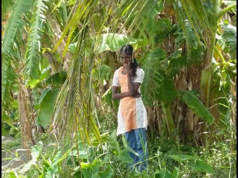 Tami Nadu-Kerala : Relation d'un voyage en Inde