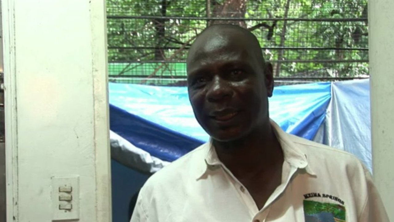 Les Philippines vont détruire cinq tonnes d'ivoire