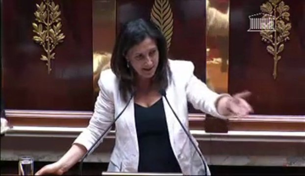 Rapporteure - projet loi lutte contre la fraude fiscale et la grande délinquance éco et financière