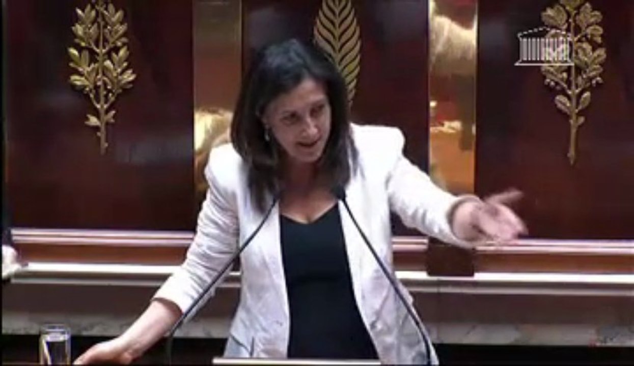 Rapporteure - projet loi lutte contre la fraude fiscale et la grande délinquance éco et financière