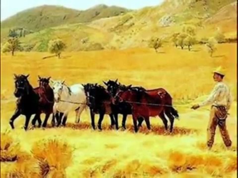 Villa-Lobos - Bachiana Brasileira n.5 - Pedro Weingärtner.