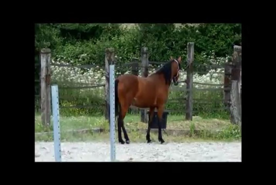 Badiane de la Barre juin 2013