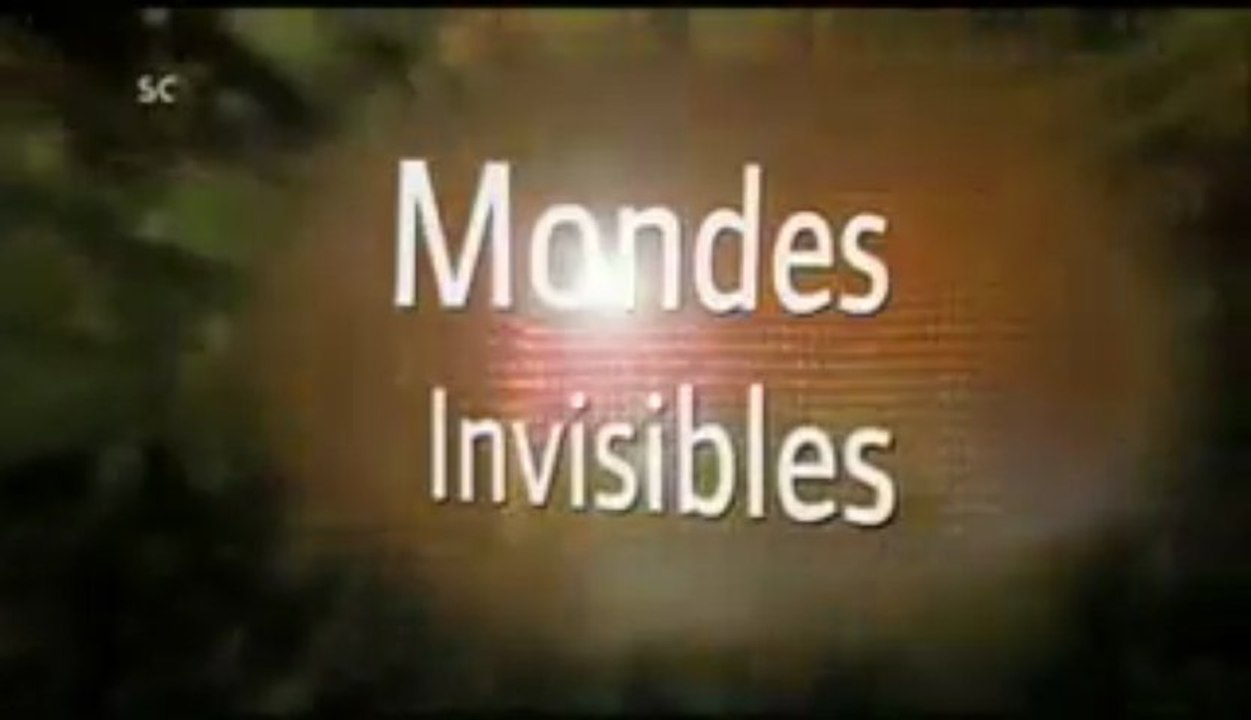 Monde Invisible_Dans l'eau