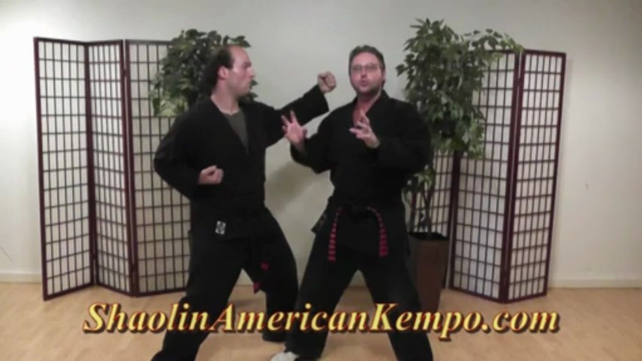 Martial Arts Fighting Strategy Tactics principles GM Jim Brassard's