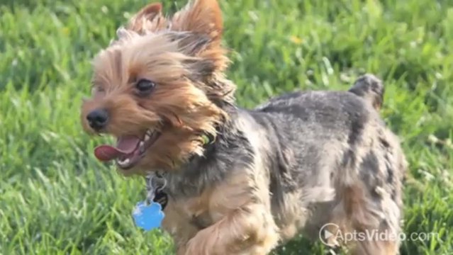 Addison Park Apartments in Tampa, FL - ForRent.com