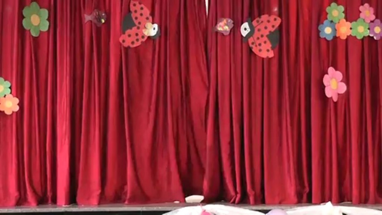 ZeynepDer Kır Çiçekleri Çocuk Kulübü Yıl Sonu Programı Bölüm 2