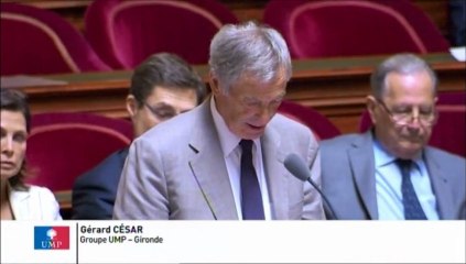 Mesures de rétorsions chinoises contre le vin : "La France pourrait subir de plein fouet ce qui n’est pas encore une guerre commerciale, mais pourrait le devenir"