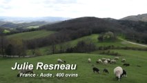 Julie Resneau 400 ovins tout en Pâturages Interview par PâtureSens