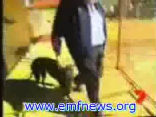 Cell Phone Health Effects, Electromagnetic Pollution