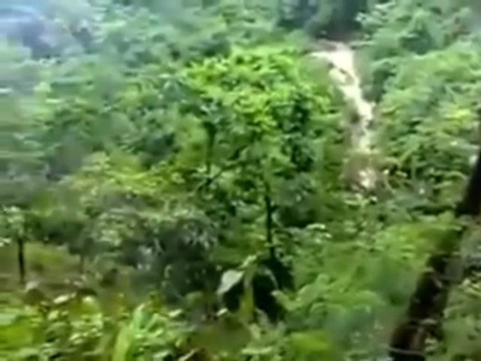 VID-1
