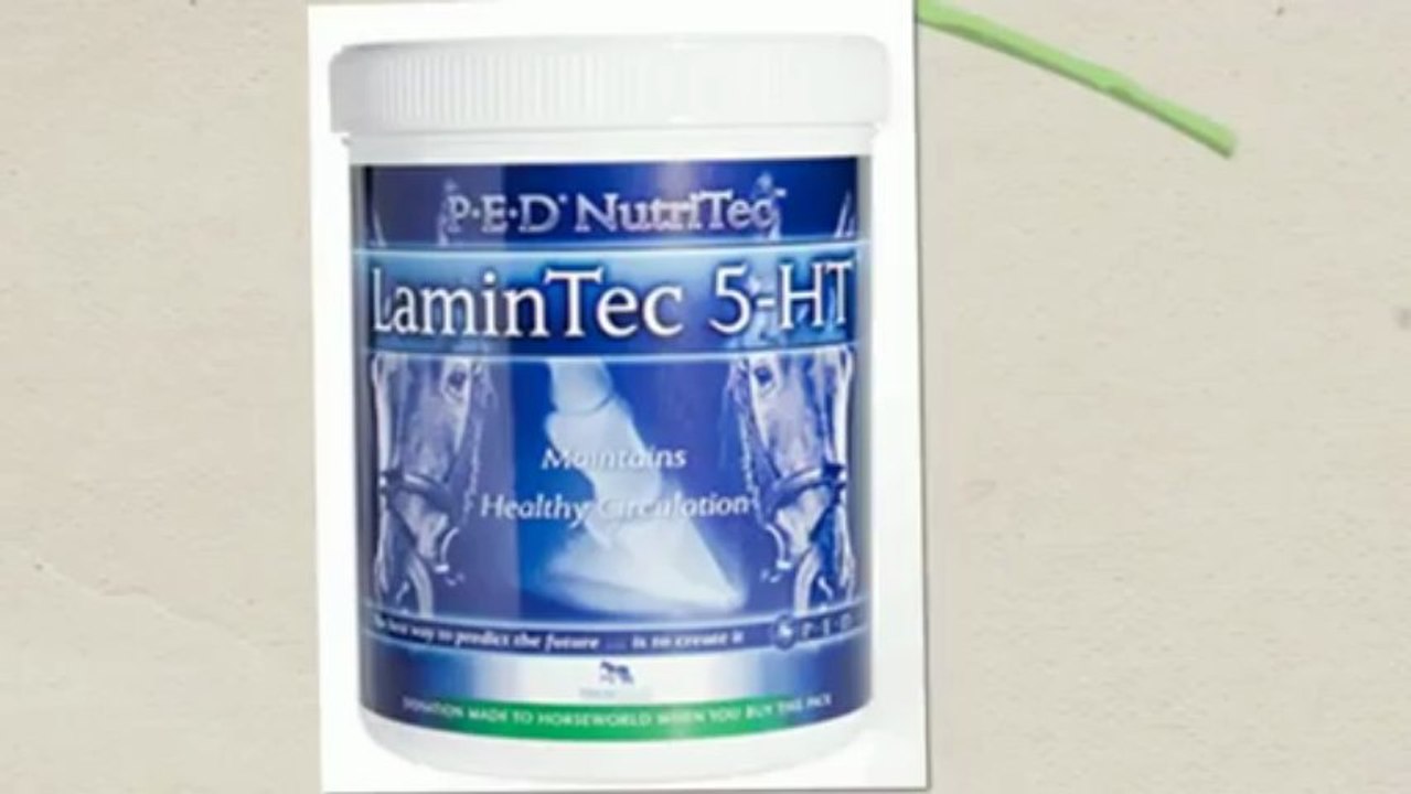 Laminitis in Horses - Organic Laminitis Treatments That Work