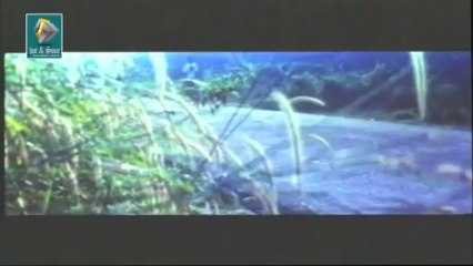 Malayalam Super Hit Movie Manathe Kottaram part 1