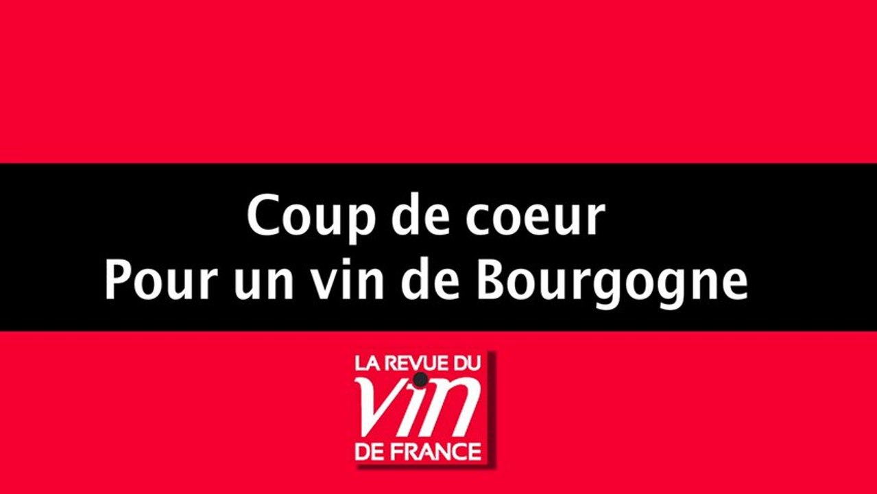 Vin de Bourgogne : coup de coeur pour le Domaine Bruno Colin