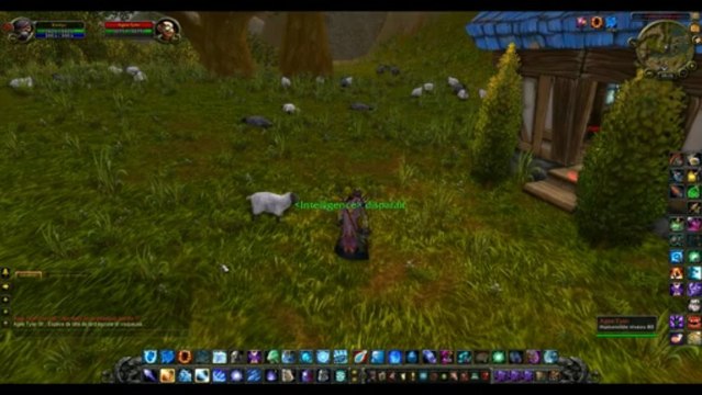 Secrets de World of Warcraft: Agee Tyler et Tekton aux Chutes de la forêt d'Elwynn