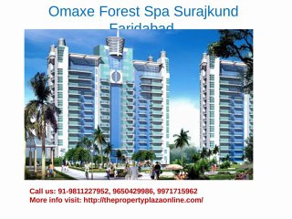 Residential Project in Faridabad