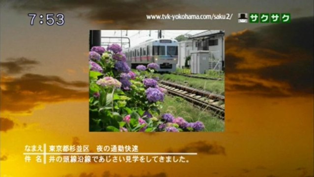 sakusaku.13.06.21 (3)　sakusakuユルキャラ全員集合しかも手彫り