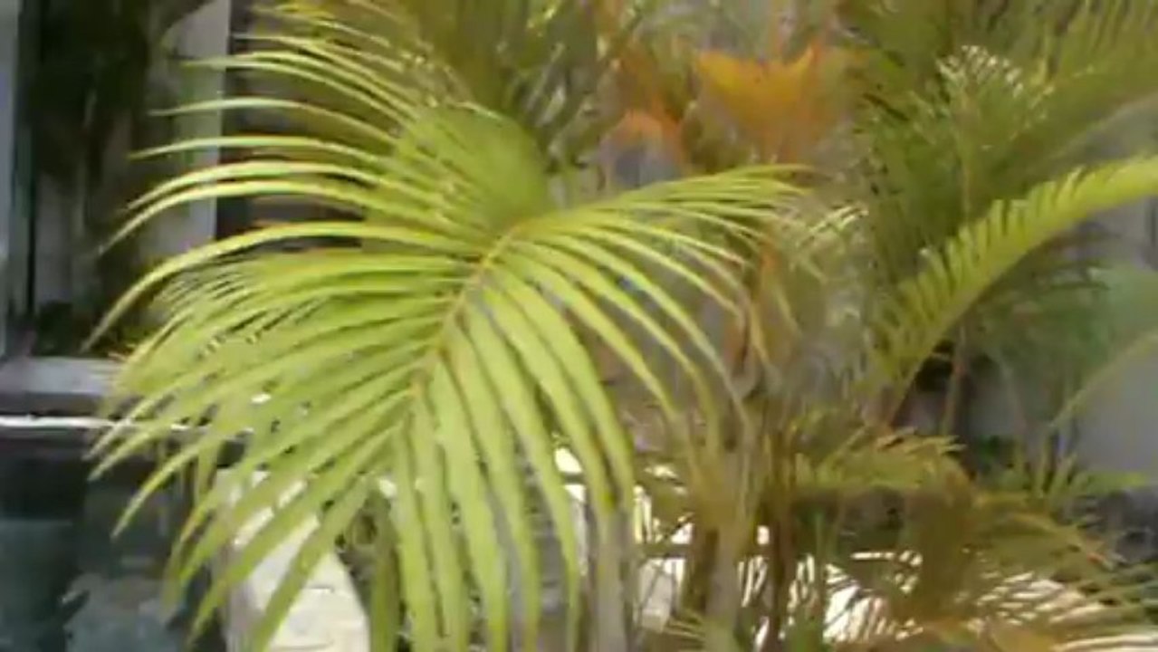 Mauritius Hotel LUX Belle Mare Belle Mare D'Eau Douce