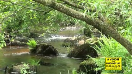 Rare and Unique in France, especially for Morvan nature lovers ...