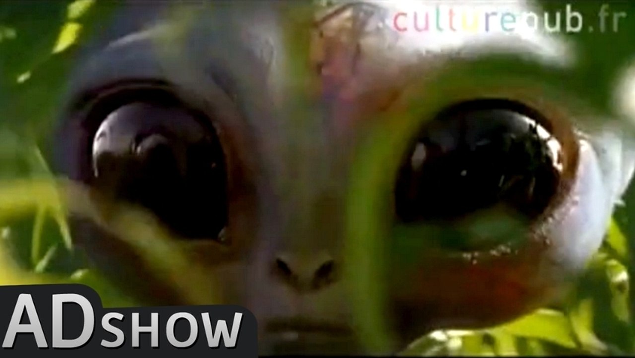 Aliens earth invasion: epic fail