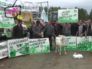 JT agri85TV du vendredi 21 juin 2013