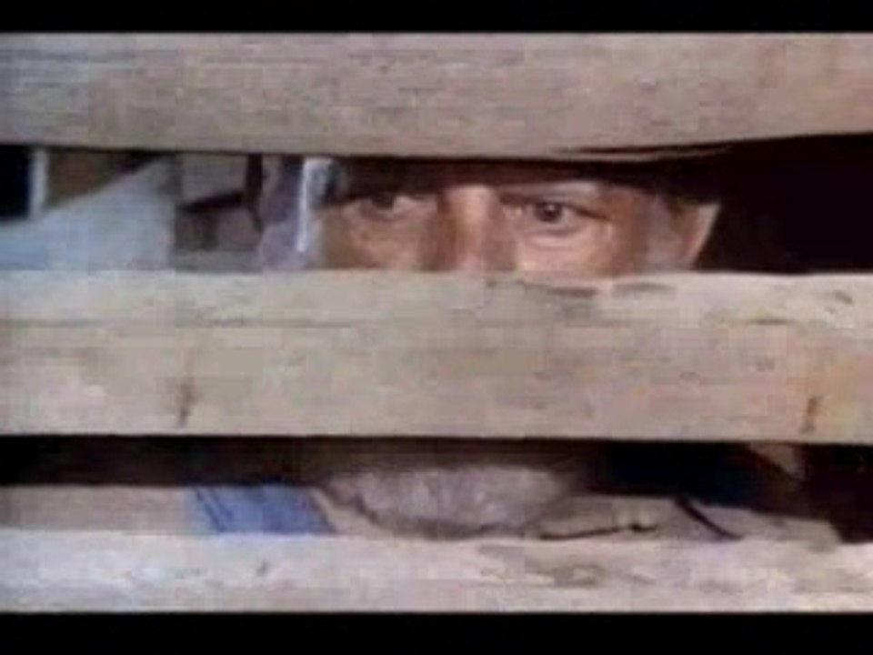 Shérif fais-moi peur (Dukes of hazzard)