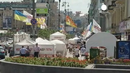 Ucraina: Guido Westerwelle propone di far curare Yulia...