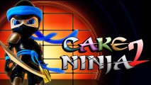 CGR Undertow - CAKE NINJA 2 review for Nintendo DSi