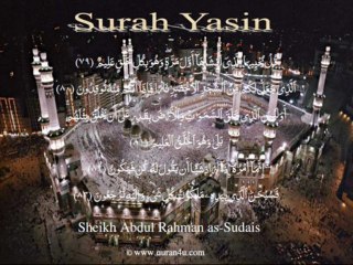 036 Surah Yasin (Abdul Rahman as-Sudais)