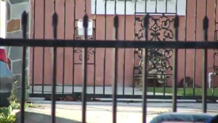 cumpleanos de emely video 1