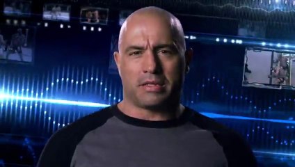 Rogan Riffs: Anderson Silva