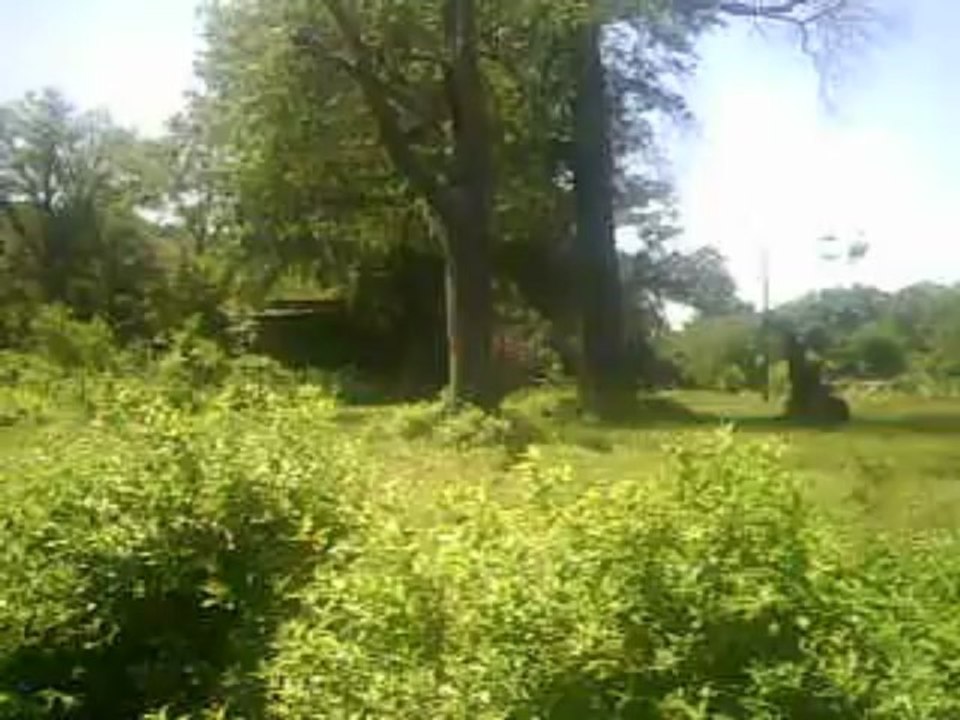 PICT0015