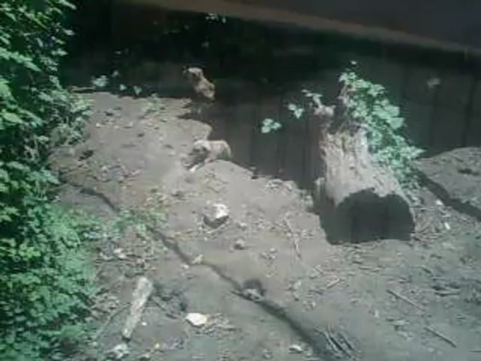 PICT0027