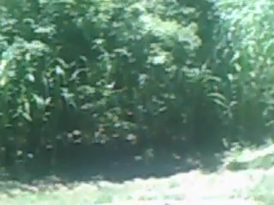 PICT0030