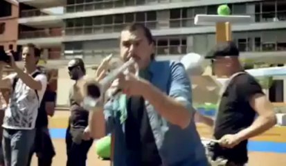 ANGRY BIRDS IN REAL LIFE