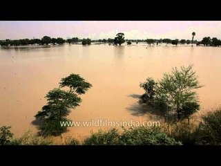 This flooded riverine plain was once the ambitious "New" New Delhi city!