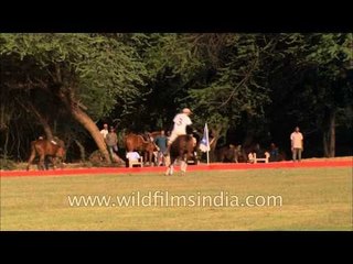President's polo cup at Rashtrapati Bhawan